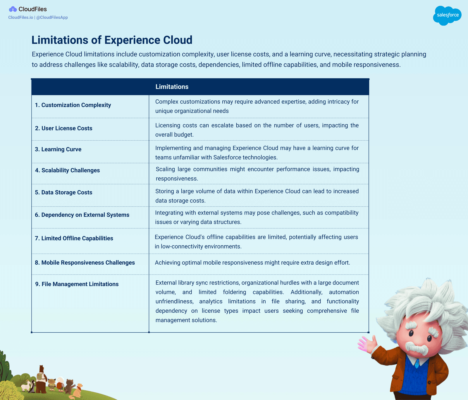 Limitations of Experience Cloud