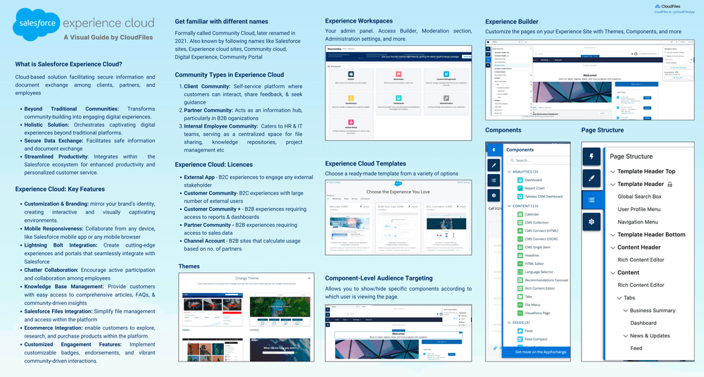 Experience cloud sharing with granular access control