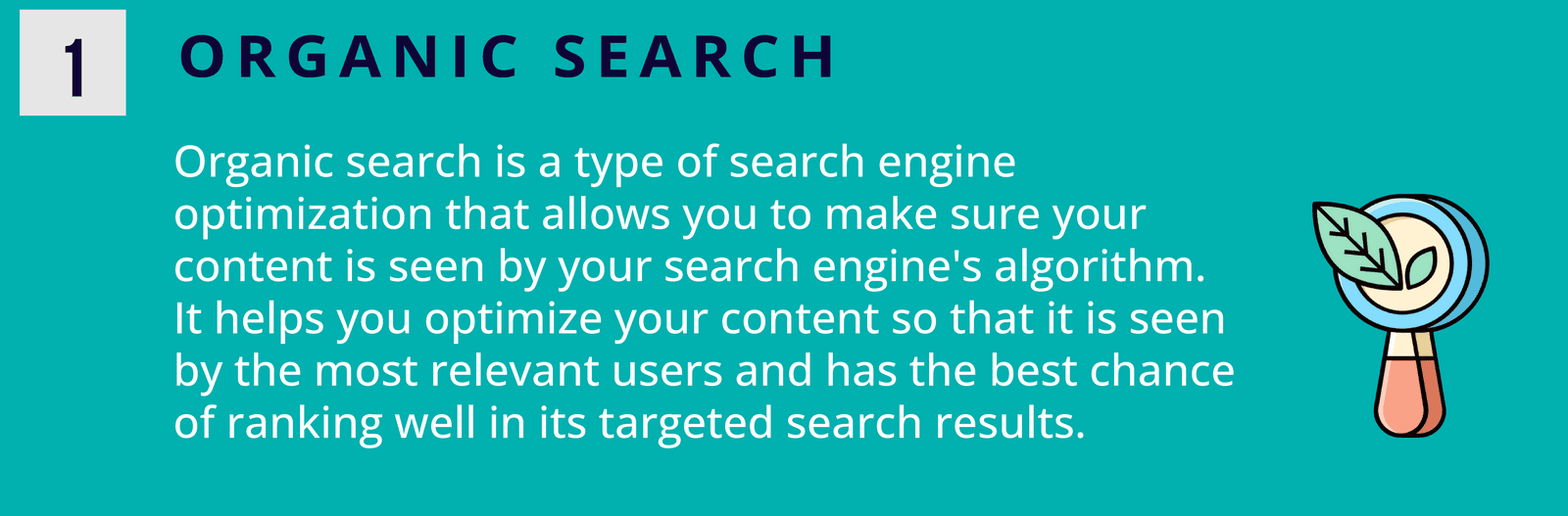 Organic Search