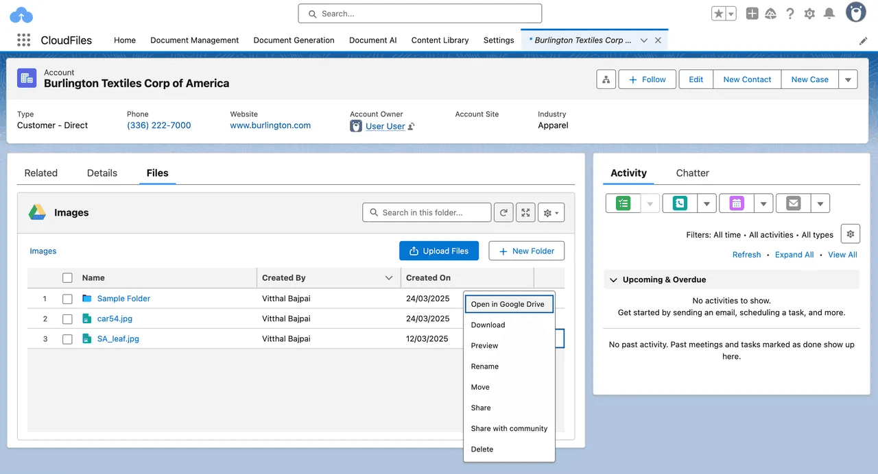 CloudFiles Internal Record Widget 