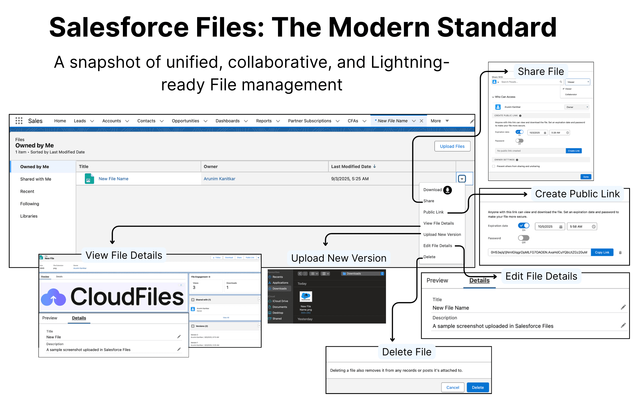 Salesforce files