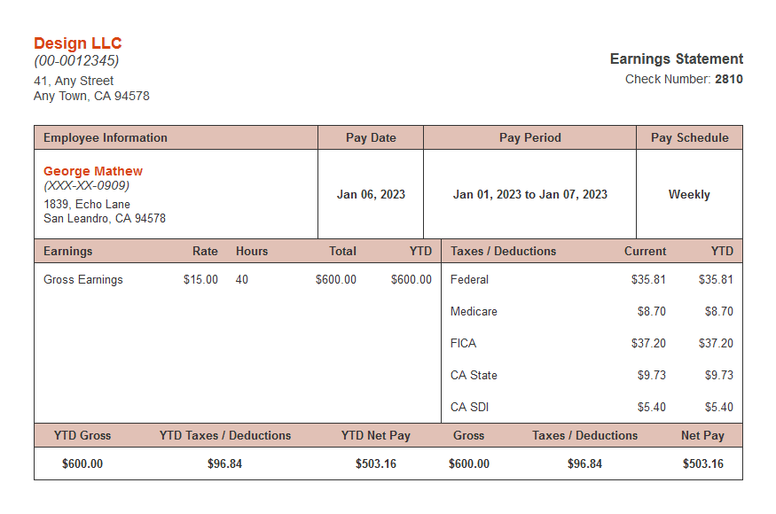 pay-stubs-example